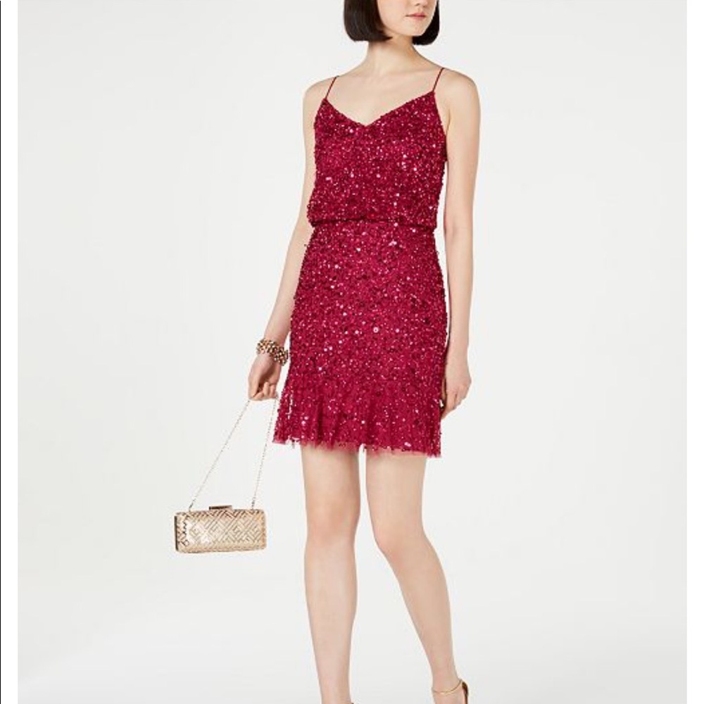 NWT Adrianna Papell Dress